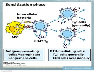 PARUNGAO-BALOLONG 2011
Thursday, March 3, 2011
 
