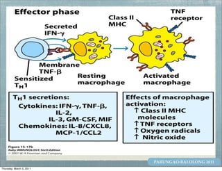 PARUNGAO-BALOLONG 2011
Thursday, March 3, 2011
 