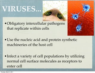 VIRUSES...
      •Obligatory intercellular pathogens
       that replicate within cells

      •Use the nucleic acid and protein synthetic
       machineries of the host cell


      •Infect a variety of cell populations by utilizing
       normal cell surface molecules as receptors to
       enter cell
Thursday, March 3, 2011
 