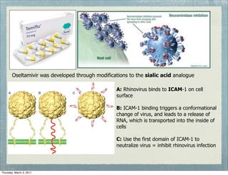 Oseltamivir was developed through modifications to the sialic acid analogue

                                                  A: Rhinovirus binds to ICAM-1 on cell
                                                  surface

                                                  B: ICAM-1 binding triggers a conformational
                                                  change of virus, and leads to a release of
                                                  RNA, which is transported into the inside of
                                                  cells

                                                  C: Use the first domain of ICAM-1 to
                                                  neutralize virus = inhibit rhinovirus infection




Thursday, March 3, 2011
 