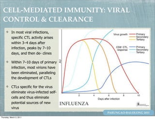 CELL-MEDIATED IMMUNITY: VIRAL
  CONTROL & CLEARANCE
           In most viral infections,
           specific CTL activity arises
           within 3–4 days after
           infection, peaks by 7–10
           days, and then de- clines

           Within 7–10 days of primary
           infection, most virions have
           been eliminated, paralleling
           the development of CTLs

           CTLs specific for the virus
           eliminate virus-infected self-
           cells and thus eliminate
           potential sources of new         INFLUENZA
           virus
                                                        PARUNGAO-BALOLONG 2011
Thursday, March 3, 2011
 