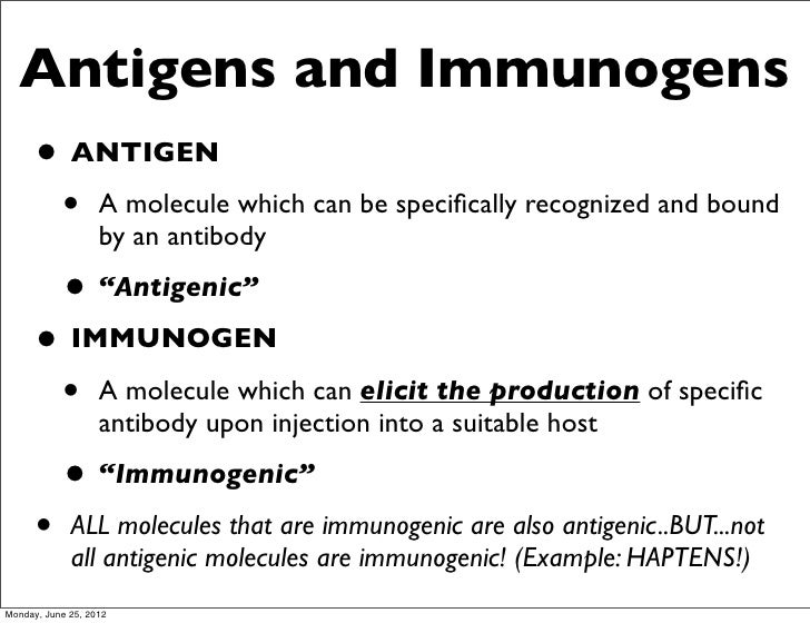 lipids food