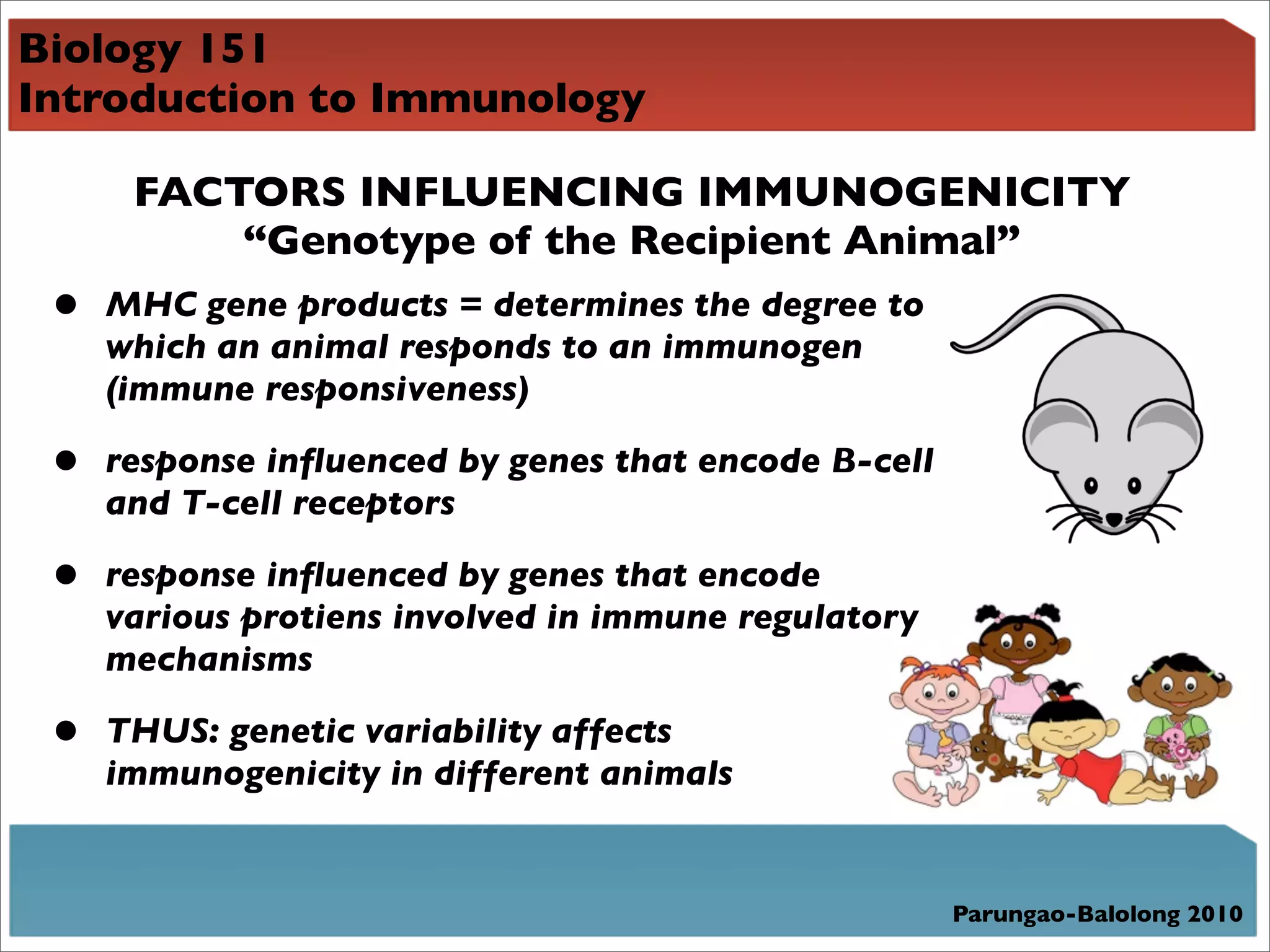Biology 151
Introduction to Immunology

      FACTORS INFLUENCING IMMUNOGENICITY
          “Genotype of the Recipient Animal”
 •   MHC gene products = determines the degree to
     which an animal responds to an immunogen
     (immune responsiveness)

 •   response inﬂuenced by genes that encode B-cell
     and T-cell receptors

 •   response inﬂuenced by genes that encode
     various protiens involved in immune regulatory
     mechanisms

 •   THUS: genetic variability affects
     immunogenicity in different animals


                                                      Parungao-Balolong 2010
 