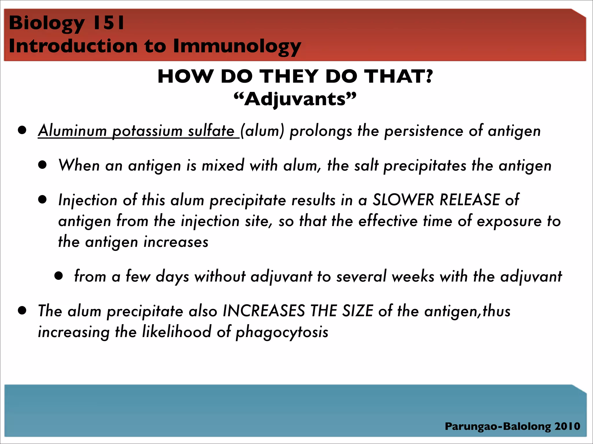 Biology 151
Introduction to Immunology
              HOW DO THEY DO THAT?
                    “Adjuvants”
• Aluminum potassium sulfate (alum) prolongs the persistence of antigen
 • When an antigen is mixed with alum, the salt precipitates the antigen
 • Injection of this alum precipitate results in a SLOWER RELEASE of
      antigen from the injection site, so that the effective time of exposure to
      the antigen increases

    • from a few days without adjuvant to several weeks with the adjuvant
• The alum precipitate also INCREASES THE SIZE of the antigen,thus
   increasing the likelihood of phagocytosis




                                                              Parungao-Balolong 2010
 