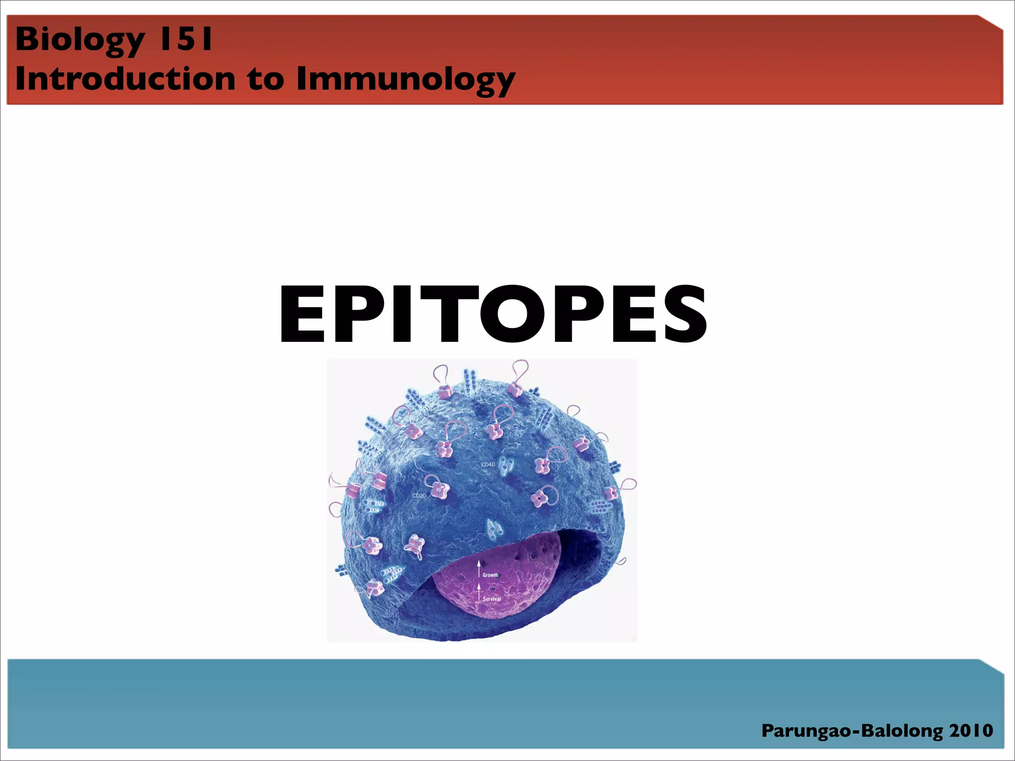 Biology 151
Introduction to Immunology




             EPITOPES



                             Parungao-Balolong 2010
 