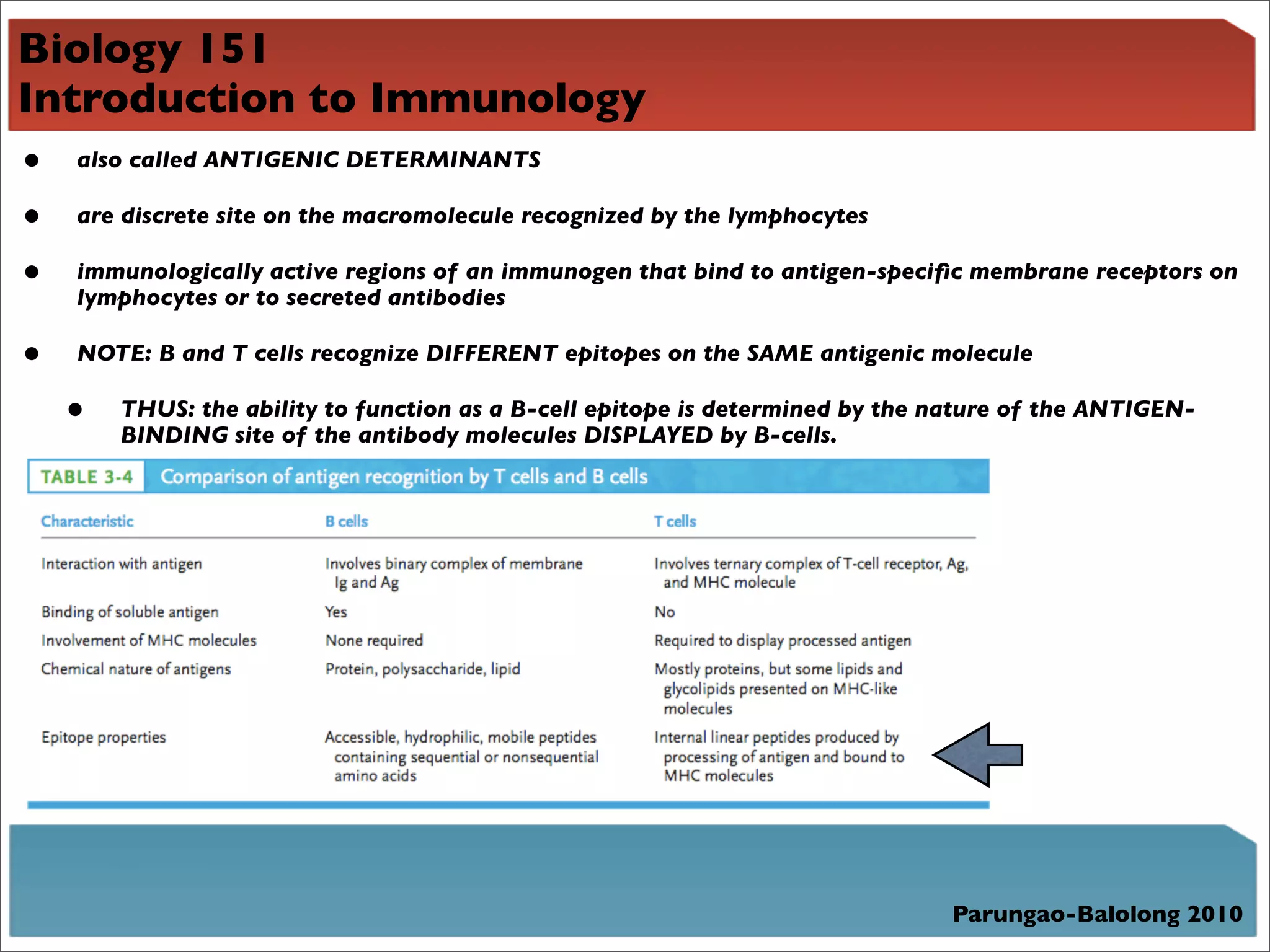 Biology 151
Introduction to Immunology
•   also called ANTIGENIC DETERMINANTS

•   are discrete site on the macromolecule recognized by the lymphocytes

•   immunologically active regions of an immunogen that bind to antigen-speciﬁc membrane receptors on
    lymphocytes or to secreted antibodies

•   NOTE: B and T cells recognize DIFFERENT epitopes on the SAME antigenic molecule

    •   THUS: the ability to function as a B-cell epitope is determined by the nature of the ANTIGEN-
        BINDING site of the antibody molecules DISPLAYED by B-cells.




                                                                               Parungao-Balolong 2010
 