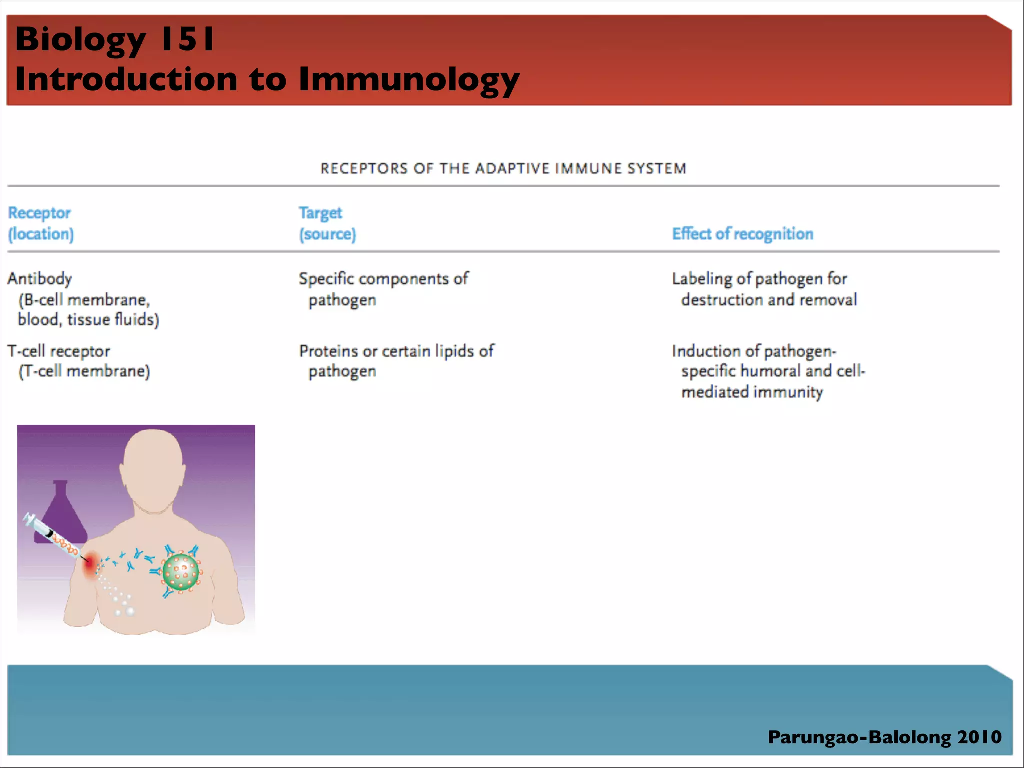 Biology 151
Introduction to Immunology




                             Parungao-Balolong 2010
 