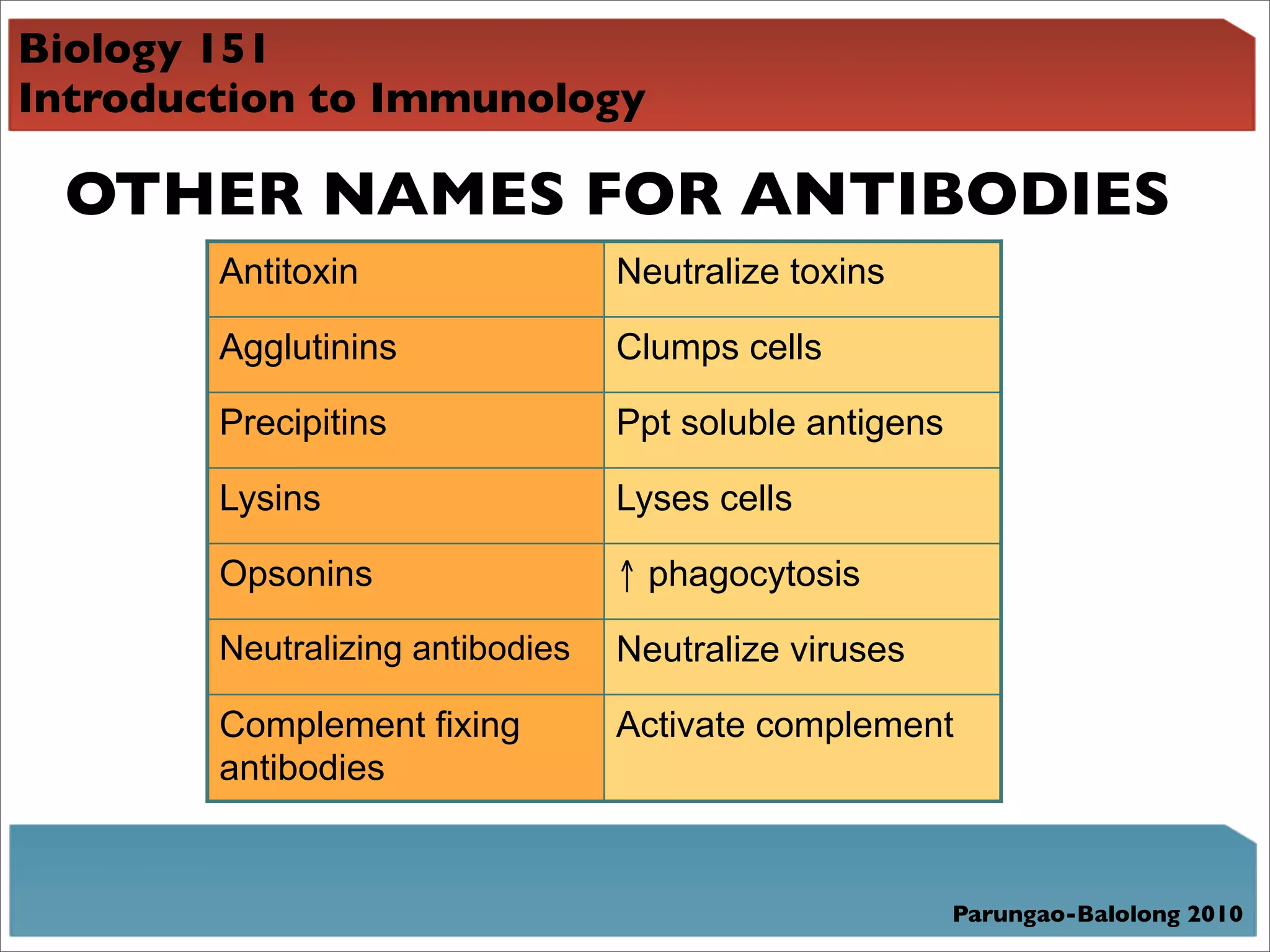 Biology 151
Introduction to Immunology

 OTHER NAMES FOR ANTIBODIES
        Antitoxin                 Neutralize toxins

        Agglutinins               Clumps cells

        Precipitins               Ppt soluble antigens

        Lysins                    Lyses cells

        Opsonins                  ! phagocytosis

        Neutralizing antibodies   Neutralize viruses

        Complement fixing         Activate complement
        antibodies


                                                         Parungao-Balolong 2010
 