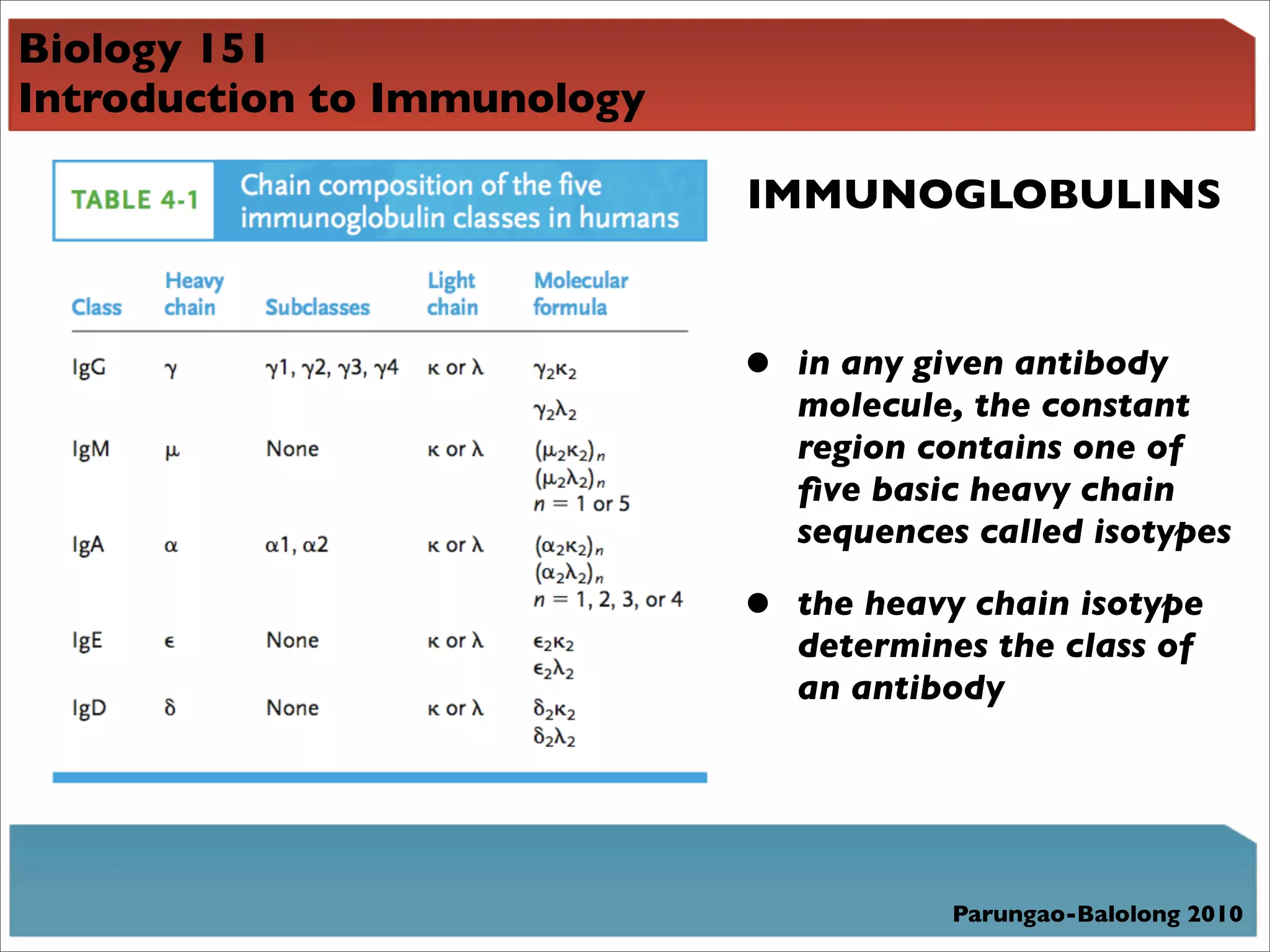 Biology 151
Introduction to Immunology

                             IMMUNOGLOBULINS



                             •   in any given antibody
                                 molecule, the constant
                                 region contains one of
                                 ﬁve basic heavy chain
                                 sequences called isotypes

                             •   the heavy chain isotype
                                 determines the class of
                                 an antibody




                                         Parungao-Balolong 2010
 