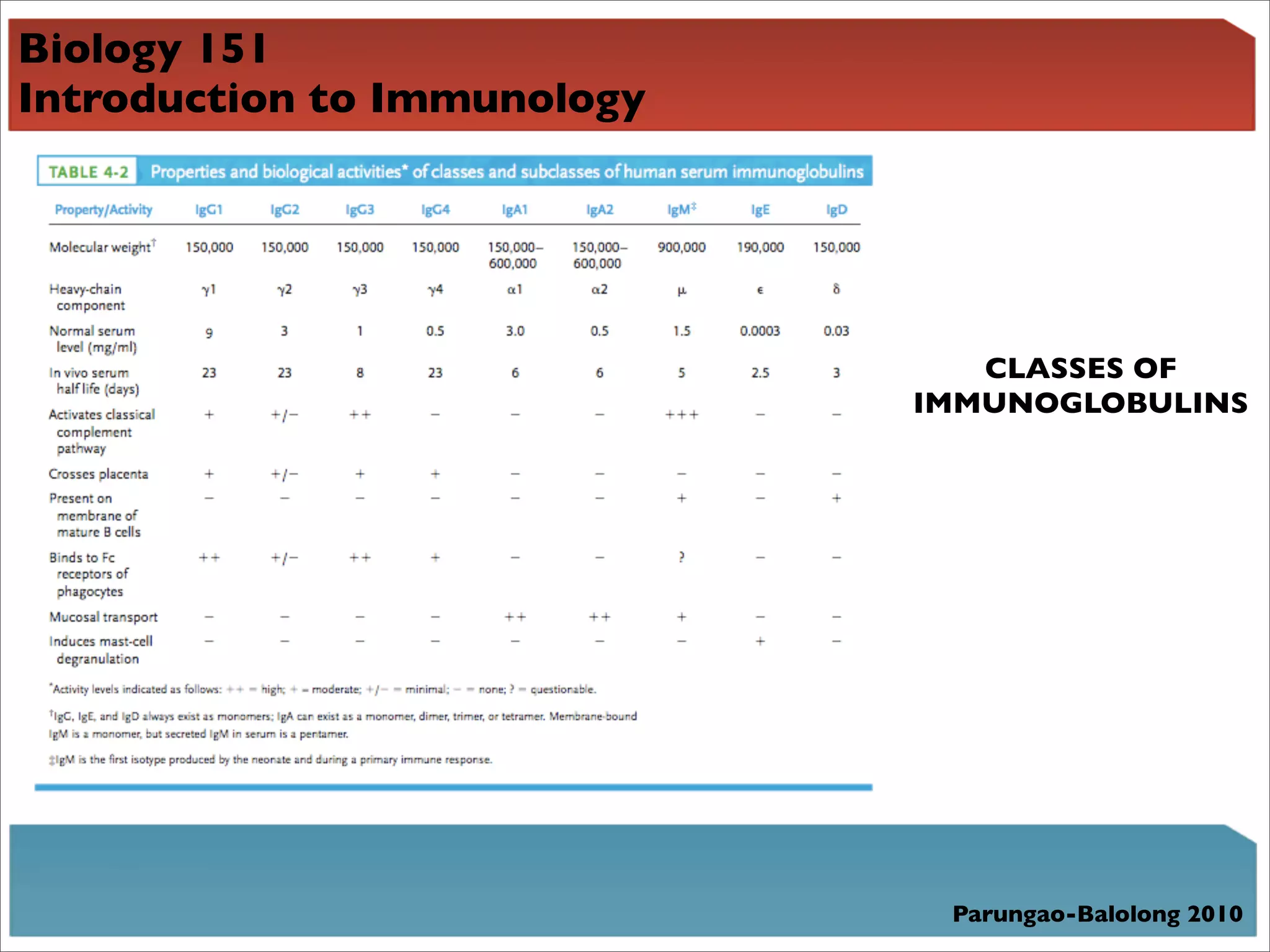 Biology 151
Introduction to Immunology




                                CLASSES OF
                             IMMUNOGLOBULINS




                              Parungao-Balolong 2010
 