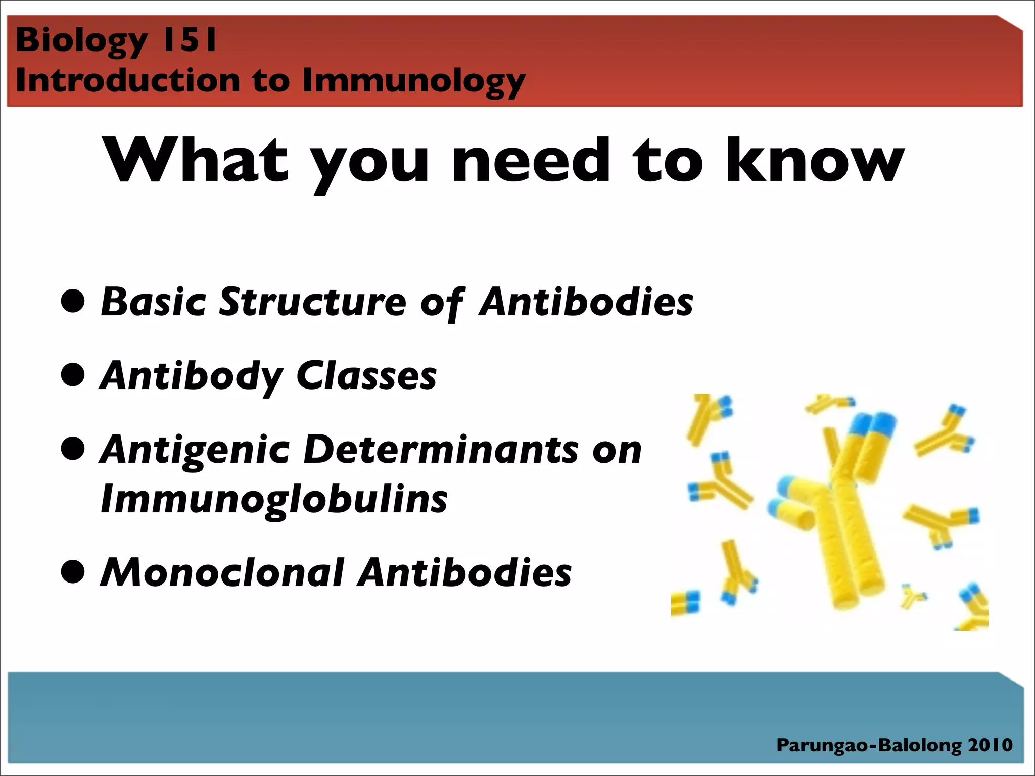 Biology 151
Introduction to Immunology

    What you need to know

  • Basic Structure of Antibodies
  • Antibody Classes
  • Antigenic Determinants on
    Immunoglobulins
  • Monoclonal Antibodies

                                    Parungao-Balolong 2010
 