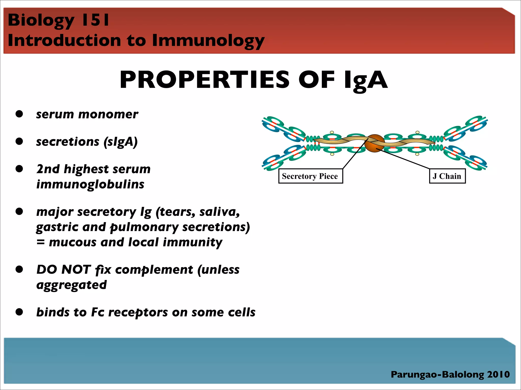 Biology 151
Introduction to Immunology

                 PROPERTIES OF IgA
•   serum monomer

•   secretions (sIgA)

•   2nd highest serum                     Secretory Piece          J Chain
    immunoglobulins

•   major secretory Ig (tears, saliva,
    gastric and pulmonary secretions)
    = mucous and local immunity

•   DO NOT ﬁx complement (unless
    aggregated

•   binds to Fc receptors on some cells



                                                            Parungao-Balolong 2010
 