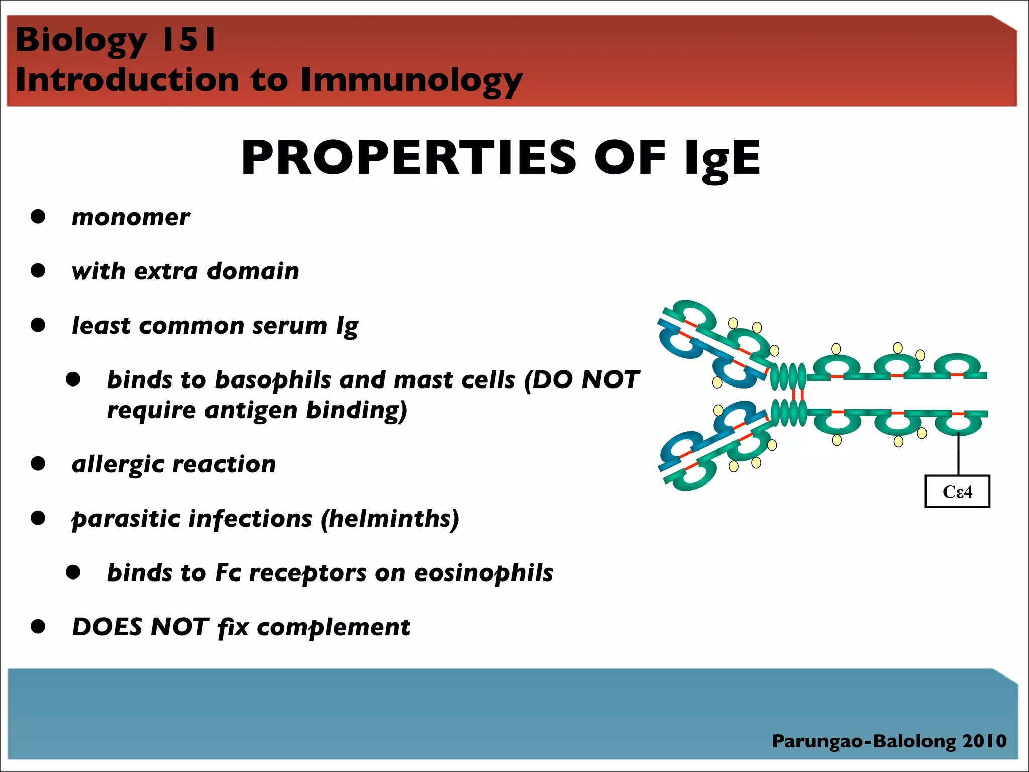 Biology 151
Introduction to Immunology

                  PROPERTIES OF IgE
•   monomer

•   with extra domain

•   least common serum Ig

    •   binds to basophils and mast cells (DO NOT
        require antigen binding)

•   allergic reaction
                                                                   C!4
•   parasitic infections (helminths)

    •   binds to Fc receptors on eosinophils

•   DOES NOT ﬁx complement



                                                    Parungao-Balolong 2010
 