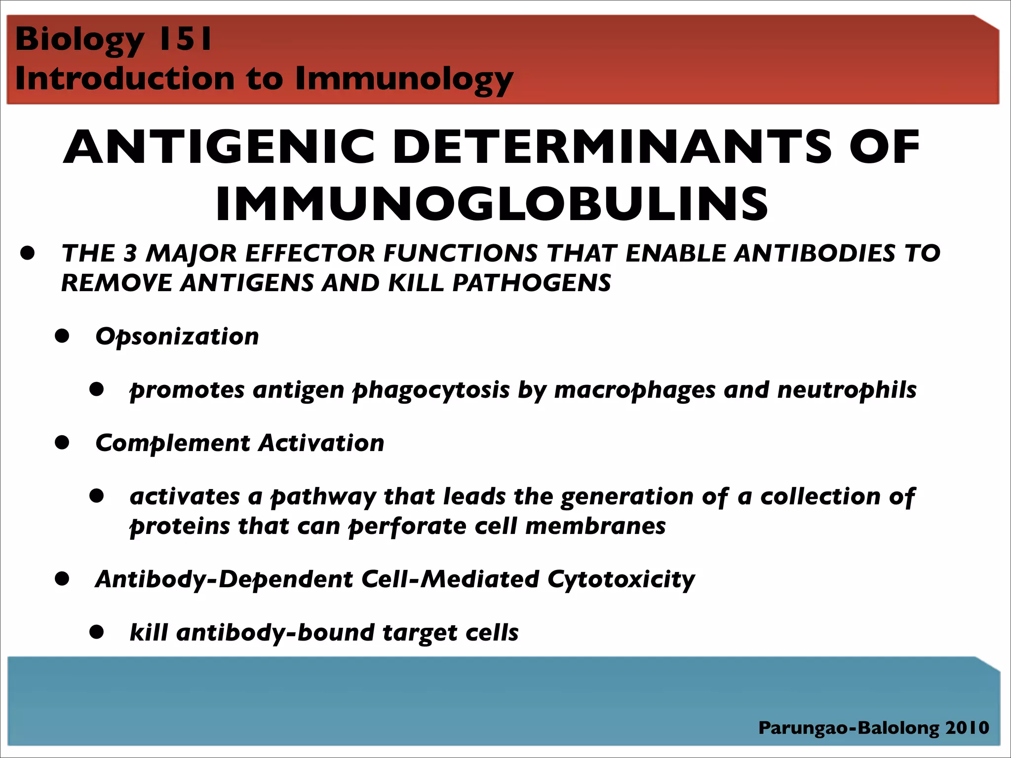Biology 151
Introduction to Immunology

    ANTIGENIC DETERMINANTS OF
        IMMUNOGLOBULINS
•   THE 3 MAJOR EFFECTOR FUNCTIONS THAT ENABLE ANTIBODIES TO
    REMOVE ANTIGENS AND KILL PATHOGENS

    •   Opsonization

        •   promotes antigen phagocytosis by macrophages and neutrophils

    •   Complement Activation

        •   activates a pathway that leads the generation of a collection of
            proteins that can perforate cell membranes

    •   Antibody-Dependent Cell-Mediated Cytotoxicity

        •   kill antibody-bound target cells


                                                               Parungao-Balolong 2010
 