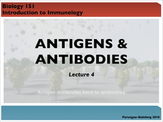 Biology 151
Introduction to Immunology




          ANTIGENS &
          ANTIBODIES
                     Lecture 4




                                 Parungao-Balolong 2010
 