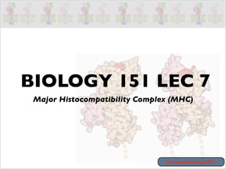 BIOLOGY 151 LEC 7
 Major Histocompatibility Complex (MHC)




                                Parungao-Balolong 2011
 