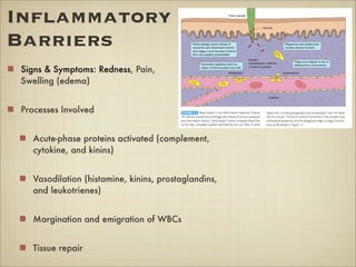 Inﬂammatory
Barriers
Signs & Symptoms: Redness, Pain, Heat,
Swelling (edema)
Processes Involved
Acute-phase proteins activ...
