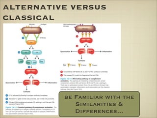 alternative versus
classical
be Familiar with the
Similarities &
Differences...
 