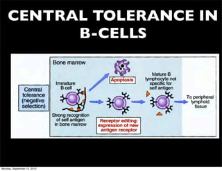 CENTRAL TOLERANCE IN
          B-CELLS




Monday, September 10, 2012
 