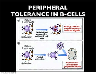 PERIPHERAL
                 TOLERANCE IN B-CELLS




Monday, September 10, 2012
 