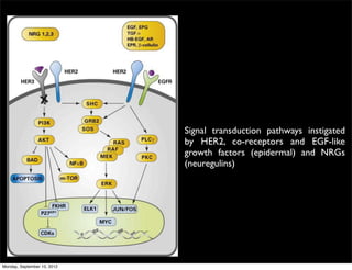 Signal transduction pathways instigated
                             by HER2, co-receptors and EGF-like
                             growth factors (epidermal) and NRGs
                             (neuregulins)




Monday, September 10, 2012
 