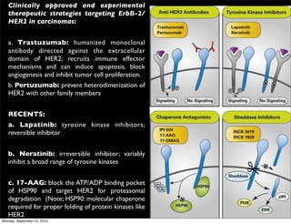 Clinically approved and experimental
   therapeutic strategies targeting ErbB-2/
   HER2 in carcinomas:


   a. Trastuzumab: humanized monoclonal
   antibody directed against the extracellular
   domain of HER2; recruits immune effector
   mechanisms and can induce apoptosis, block
   angiogenesis and inhibit tumor cell proliferation.
   b. Pertuzumab: prevent heterodimerization of
   HER2 with other family members


   RECENTS:
   a. Lapatinib: tyrosine kinase inhibitors;
   reversible inhibitor


   b. Neratinib: irreversible inhibitor; variably
   inhibit a broad range of tyrosine kinases


   c. 17-AAG: block the ATP/ADP binding pocket
   of HSP90 and target HER2 for proteasomal
   degradation (Note; HSP90: molecular chaperone
   required for proper folding of protein kinases like
   HER2
Monday, September 10, 2012
 