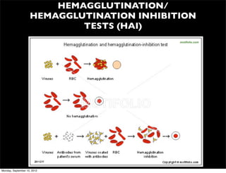 HEMAGGLUTINATION/
                    HEMAGGLUTINATION INHIBITION
                            TESTS (HAI)
                                                 motifolio.com




                                   virology.ws




Monday, September 10, 2012
 