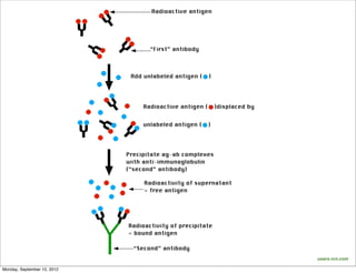 users.rcn.com

Monday, September 10, 2012
 