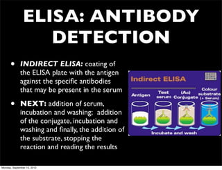 ELISA: ANTIBODY
                  DETECTION
      •      INDIRECT ELISA: coating of
             the ELISA plate with the antigen
             against the speciﬁc antibodies
             that may be present in the serum

      •      NEXT: addition of serum,
             incubation and washing;  addition
             of the conjugate, incubation and
             washing and ﬁnally, the addition of
             the substrate, stopping the
             reaction and reading the results

Monday, September 10, 2012
 