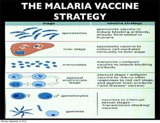 THE MALARIA VACCINE
                         STRATEGY




Monday, September 10, 2012
 