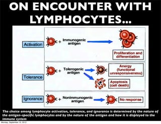 ON ENCOUNTER WITH
          LYMPHOCYTES...




 The choice among lymphocyte activation, tolerance, and ignorance is determined by the nature of
 the antigen-speciﬁc lymphocytes and by the nature of the antigen and how it is displayed to the
 immune system
Monday, September 10, 2012
 