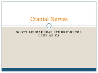 Scott.lehbauer@lethbridgecollege.ab.ca Cranial Nerves 