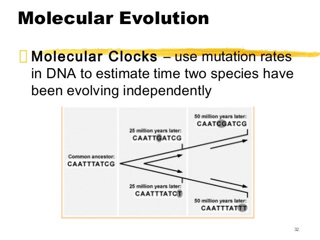 Is Natural Selection A Cause Or Effect Of Organic Evolution Is Natural Selection A Cause Or Effect Of Organic Evolution