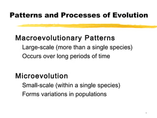 Patterns and Processes of Evolution


 Macroevolutionary Patterns
   Large-scale (more than a single species)
   Occurs over long periods of time


 Microevolution
   Small-scale (within a single species)
   Forms variations in populations

                                              1
 