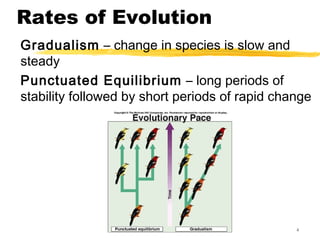 Bio 163 patterns of evolution and genes lmk 2013 | PPT