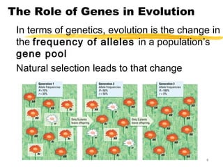 Gene Evolution Pattern Bio 163 patterns of evolution and genes lmk 2013 | PPT
