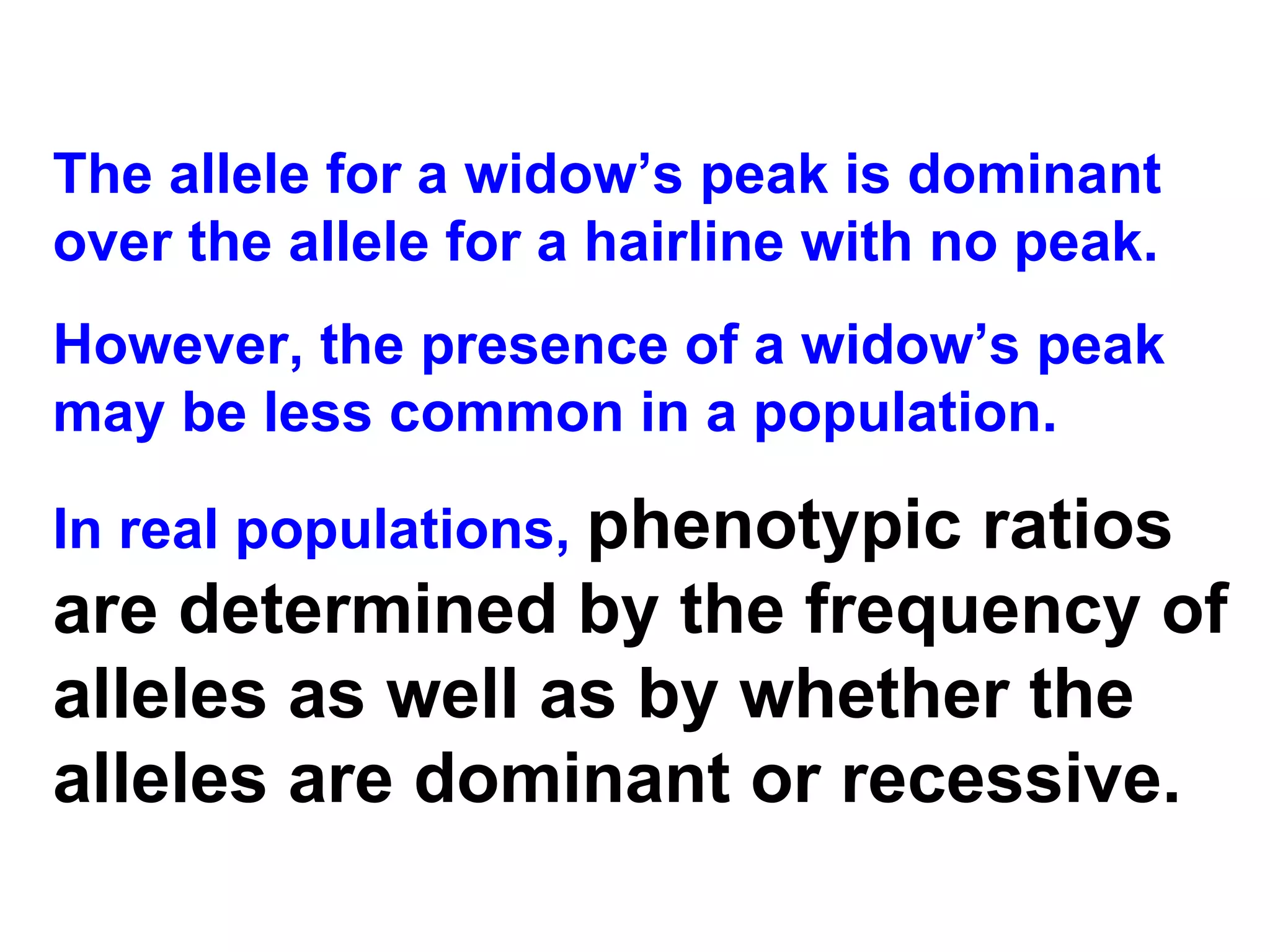 The allele for a widow’s peak is dominant over the allele for a hairline with no peak. However, the presence of a widow’s peak may be less common in a population. In real populations,  phenotypic ratios are determined by the frequency of alleles as well as by whether the alleles are dominant or recessive.   