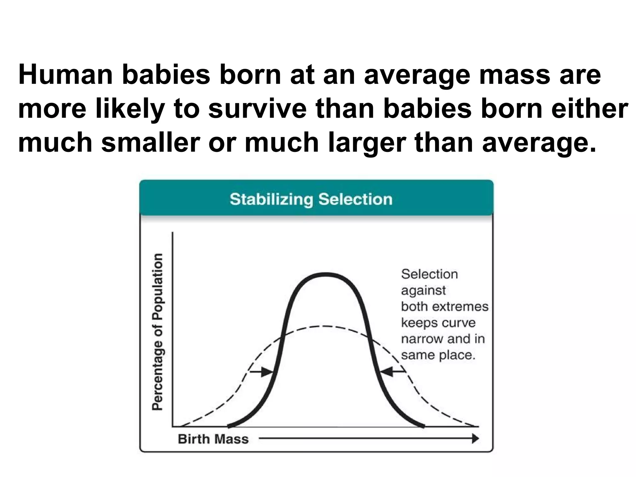 Human babies born at an average mass are more likely to survive than babies born either much smaller or much larger than average. 