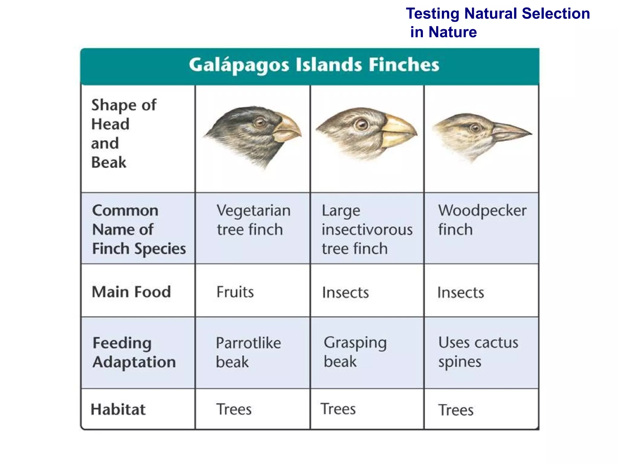 Testing Natural Selection  in Nature 