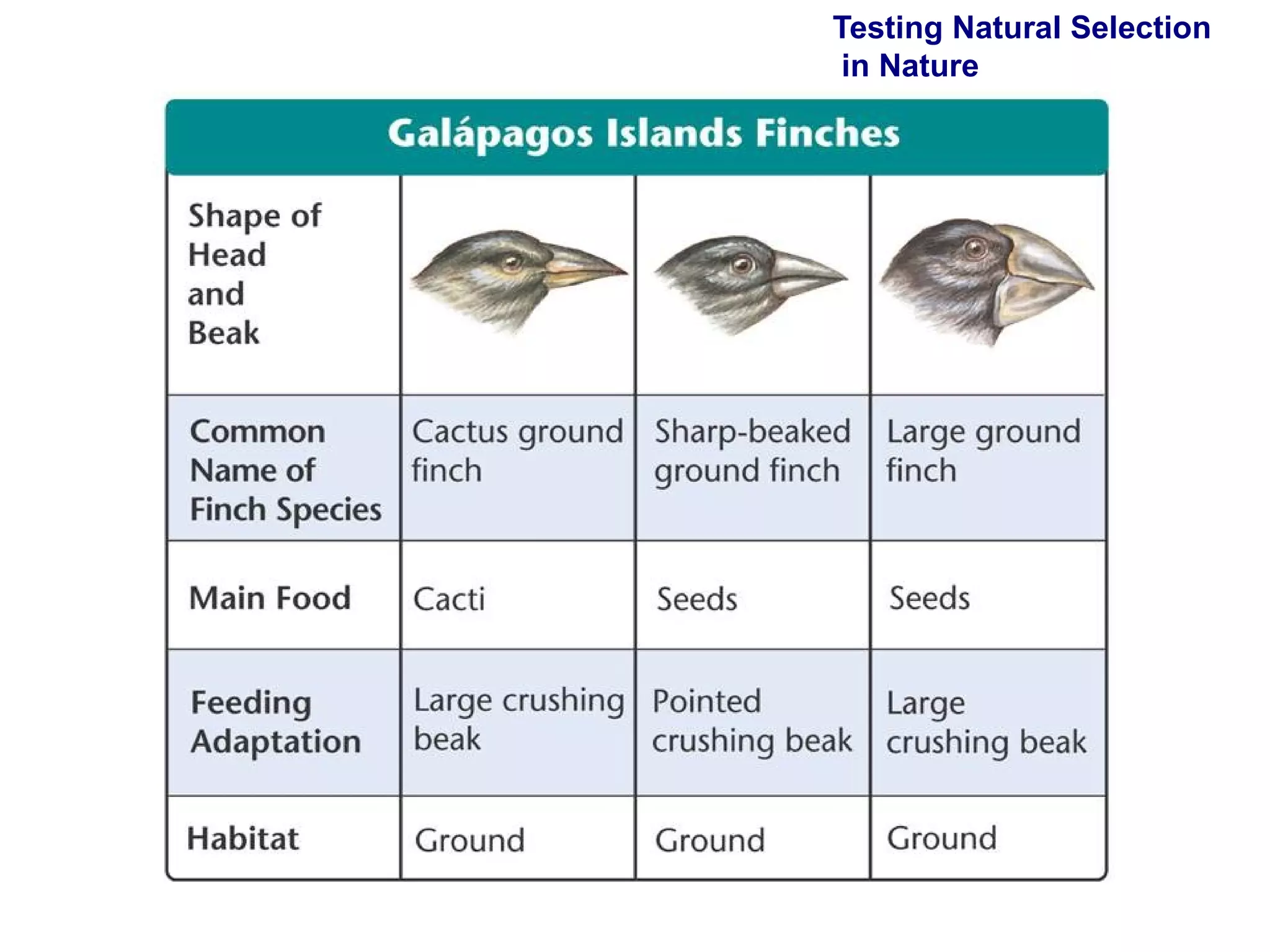 Testing Natural Selection  in Nature 