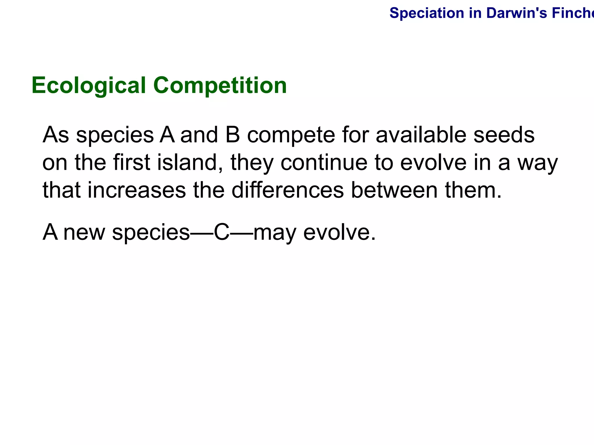 Speciation in Darwin's Finches Ecological Competition As species A and B compete for available seeds on the first island, they continue to evolve in a way that increases the differences between them.  A new species —C—may evolve. 