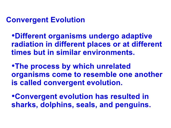 adaptive radiation convergence and the marsupials Biology evolution part 9 (adaptive radiation : marsupials & placental mammals) class 12 xii - duration: convergent evolution vs divergent evolution. adaptive radiation convergence and the marsupials Biology evolution part 9 (adaptive radiation : marsupials & placental mammals) class 12 xii - duration: convergent evolution vs divergent evolution.