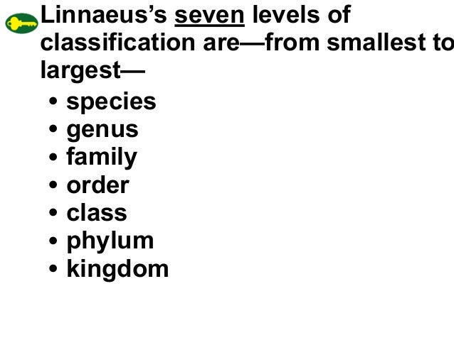 What are the seven taxa in order from largest to smallest?
