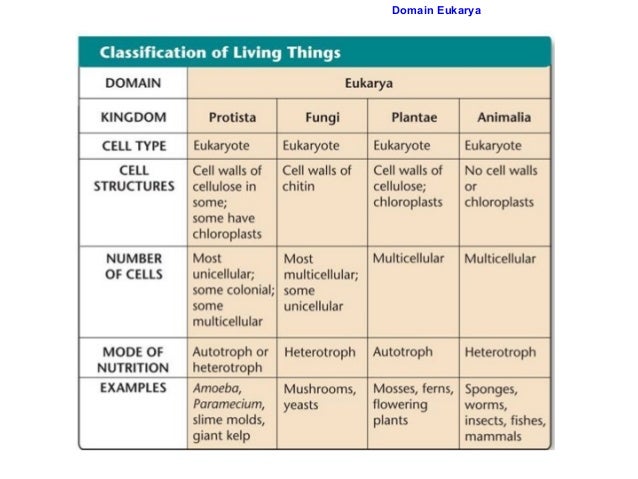 Eukarya In 2020 Science Flashcards Easy Science Definition Of Science