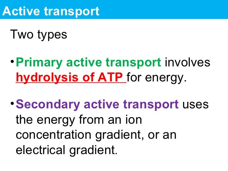 Bio 189 cell_membranes_and_signaling_spr