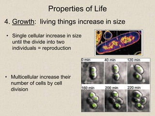 [Bio1] ch 1 evolution the themes of biology and scientific inquiry | PPTX