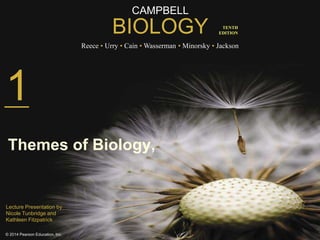 CAMPBELL
BIOLOGY
Reece • Urry • Cain • Wasserman • Minorsky • Jackson
© 2014 Pearson Education, Inc.
TENTH
EDITION
1
Themes of Biology,
Lecture Presentation by
Nicole Tunbridge and
Kathleen Fitzpatrick
 