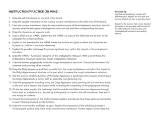 INSTRUCTION/PRACTICE (30 MINS)
1. Draw the cell membrane on one end of the board.
2. Draw the double membrane of the nucleus (nuclear membrane) on the other end of the board.
3. From the nuclear membrane, draw the reticulated structure of the endoplasmic reticulum. Ask the
learners what the two types of endoplasmic reticulum are and their corresponding functions.
4. Draw the ribosomes as separate units.
5. Draw a DNA and an mRNA. Explain that the mRNA is a copy of the DNA that will be sent to the
cytoplasm for protein synthesis.
6. Explain to the learners that the mRNA leaves the nucleus and goes to where the ribosomes are
located (i.e., mRNA + functional ribosome)
7. Explain the possible ‘pathways’ for protein synthesis (e.g., within the cytosol or the endoplasmic
reticulum)
8. Draw the mRNA + functional ribosome on the endoplasmic reticulum. With a lot of these, the
endoplasmic reticulum becomes a rough endoplasmic reticulum.
9. Draw the formed polypeptide inside the rough endoplasmic reticulum. Discuss the formation of a
cisternae and pinching off as a vesicle.
10. Draw the Golgi Apparatus and then a vesicle from the rough endoplasmic reticulum that travels to
the Golgi Apparatus and attaches to the part which is nearest the rough endoplasmic reticulum.
11. Ask the learners what the function of the Golgi Apparatus is. Synthesize their answers and compare
the Golgi Apparatus to a factory with an assembly manufacturing line.
12. Draw the polypeptide travelling along the Golgi Apparatus stack; pinching off as a vesicle to travel
to the next stack. Repeat the process while increasing the complexity of the polypeptide drawing.
13. On the last stack, explain the ‘pathways’ that the vesicle may follow: become a lysosome through
fusion with an endosome (i.e., formed by endocytosis), or travel to the cell membrane, fuse with it,
and empty its contents.
14. Present the composition of the endomembrane system and discuss how these parts are connected
to each other by structure and by function.
15. Draw the mitochondria and label its parts. Explain the importance of the enfolding (cristae) in
increasing the surface area of the inner mitochondrial membrane. Further explain to the class that
Teacher tip
Use chalk or white board markers with
different colors. Explain the structure and
function of each cell part as you draw them.
Explain to the learners that a more detailed
discussion of the structure and functions of
the cell membrane, mitochondria, and
chloroplast will be given in succeeding
lessons.
 