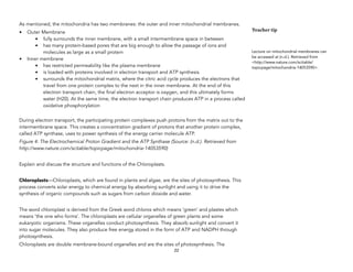 As mentioned, the mitochondria has two membranes: the outer and inner mitochondrial membranes.
• Outer Membrane
• fully surrounds the inner membrane, with a small intermembrane space in between
• has many protein-based pores that are big enough to allow the passage of ions and
molecules as large as a small protein
• Inner membrane
• has restricted permeability like the plasma membrane
• is loaded with proteins involved in electron transport and ATP synthesis
• surrounds the mitochondrial matrix, where the citric acid cycle produces the electrons that
travel from one protein complex to the next in the inner membrane. At the end of this
electron transport chain, the final electron acceptor is oxygen, and this ultimately forms
water (H20). At the same time, the electron transport chain produces ATP in a process called
oxidative phosphorylation
During electron transport, the participating protein complexes push protons from the matrix out to the
intermembrane space. This creates a concentration gradient of protons that another protein complex,
called ATP synthase, uses to power synthesis of the energy carrier molecule ATP.
Figure 4: The Electrochemical Proton Gradient and the ATP Synthase (Source: (n.d.). Retrieved from
http://www.nature.com/scitable/topicpage/mitochondria-14053590)
Explain and discuss the structure and functions of the Chloroplasts.
Chloroplasts—Chloroplasts, which are found in plants and algae, are the sites of photosynthesis. This
process converts solar energy to chemical energy by absorbing sunlight and using it to drive the
synthesis of organic compounds such as sugars from carbon dioxide and water.
The word chloroplast is derived from the Greek word chloros which means ‘green’ and plastes which
means ‘the one who forms’. The chloroplasts are cellular organelles of green plants and some
eukaryotic organisms. These organelles conduct photosynthesis. They absorb sunlight and convert it
into sugar molecules. They also produce free energy stored in the form of ATP and NADPH through
photosynthesis.
Chloroplasts are double membrane-bound organelles and are the sites of photosynthesis. The  
22
Teacher tip
Lecture on mitochondrial membranes can
be accessed at (n.d.). Retrieved from
<http://www.nature.com/scitable/
topicpage/mitochondria-14053590>.
 