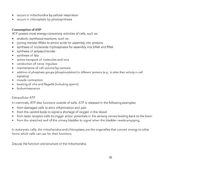 • occurs in mitochondria by cellular respiration
• occurs in chloroplasts by photosynthesis
Consumption of ATP
ATP powers most energy-consuming activities of cells, such as:
• anabolic (synthesis) reactions, such as:
• joining transfer RNAs to amino acids for assembly into proteins
• synthesis of nucleoside triphosphates for assembly into DNA and RNA
• synthesis of polysaccharides
• synthesis of fats
• active transport of molecules and ions
• conduction of nerve impulses
• maintenance of cell volume by osmosis
• addition of phosphate groups (phosphorylation) to different proteins (e.g., to alter their activity in cell
signaling)
• muscle contraction
• beating of cilia and flagella (including sperm)
• bioluminescence
Extracellular ATP
In mammals, ATP also functions outside of cells. ATP is released in the following examples:
• from damaged cells to elicit inflammation and pain
• from the carotid body to signal a shortage of oxygen in the blood
• from taste receptor cells to trigger action potentials in the sensory nerves leading back to the brain
• from the stretched wall of the urinary bladder to signal when the bladder needs emptying
In eukaryotic cells, the mitochondria and chloroplasts are the organelles that convert energy to other
forms which cells can use for their functions.
Discuss the function and structure of the mitochondria.
20
 